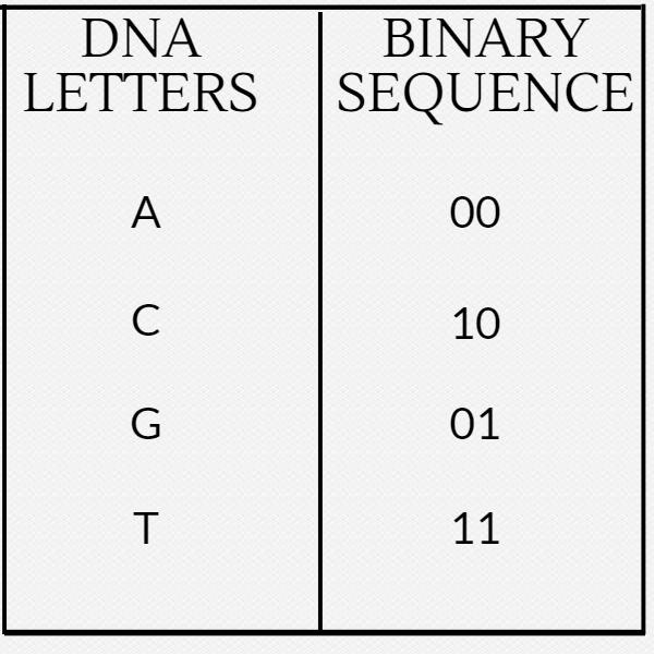 img/genome_coding.jpg